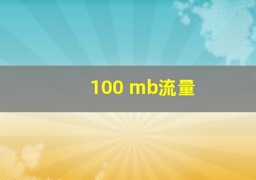 100 mb流量